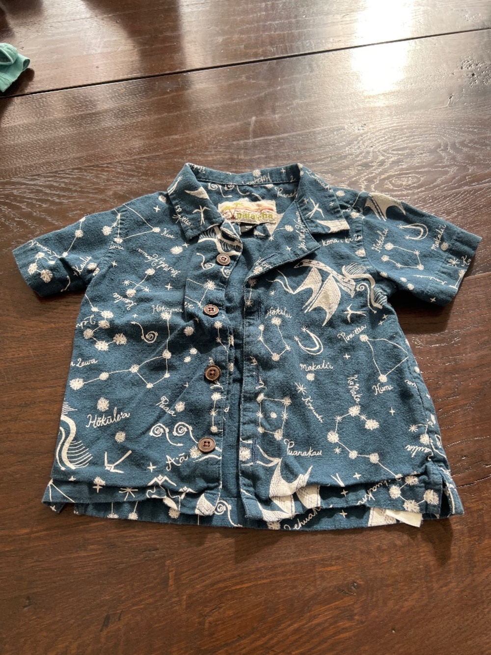 Patagonia button up